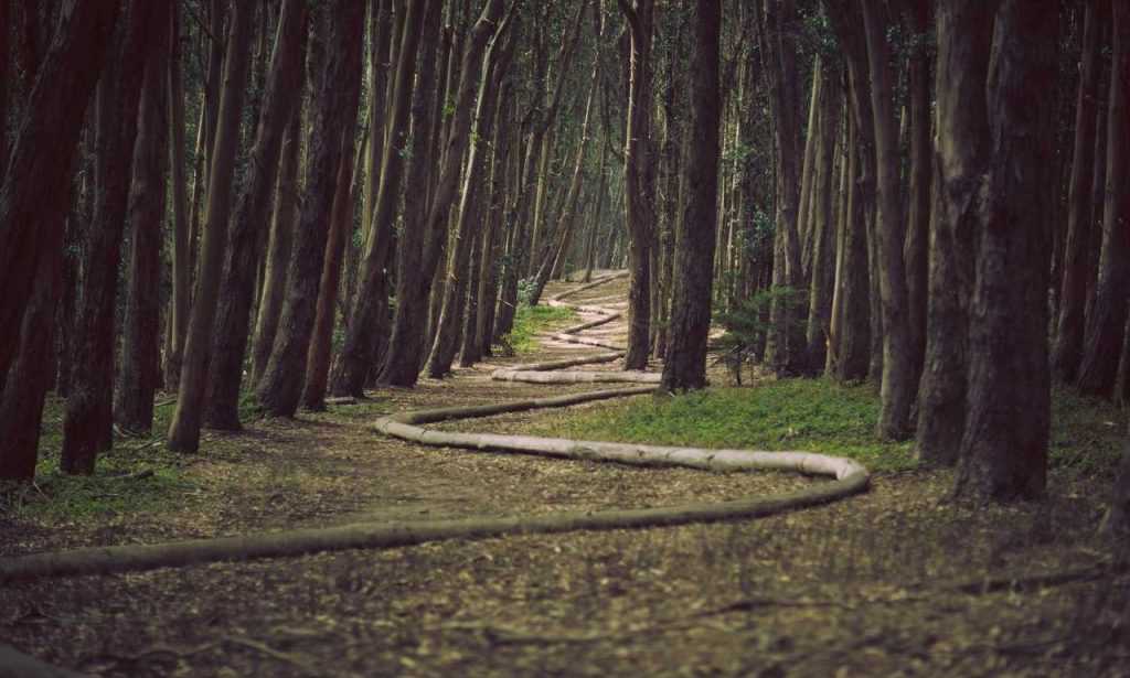 fitness guide lwspeakfit