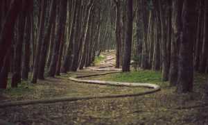 fitness guide lwspeakfit