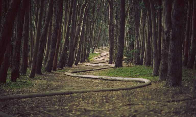 fitness guide lwspeakfit