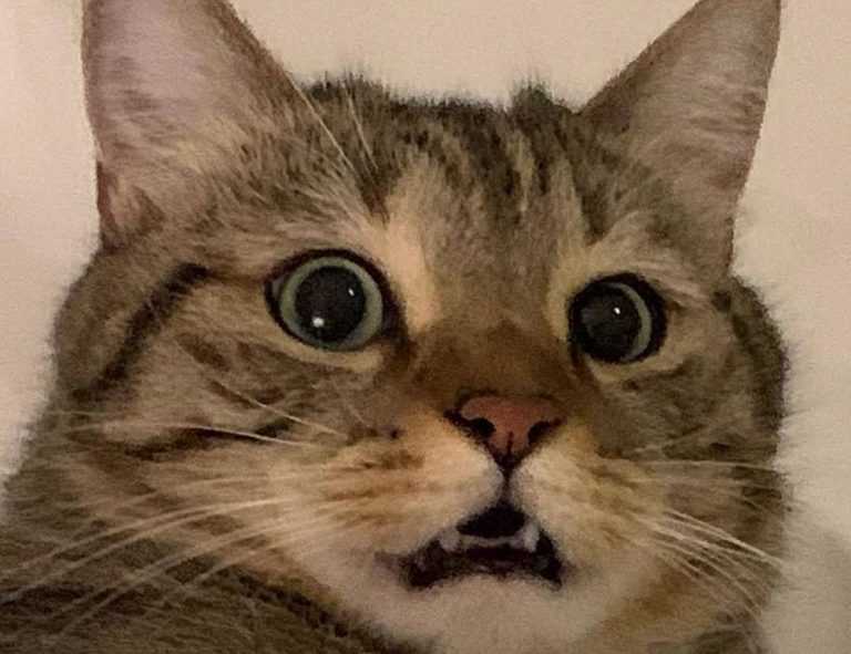 is 57gt924tj the latest tv models