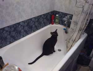 what is 8tshare6a python code