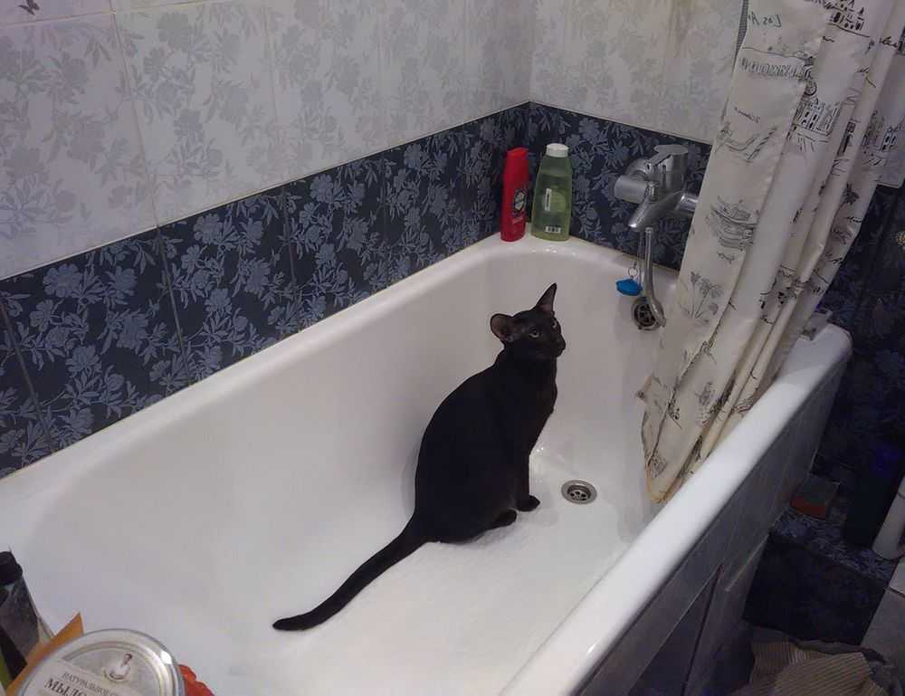 what is 8tshare6a python code