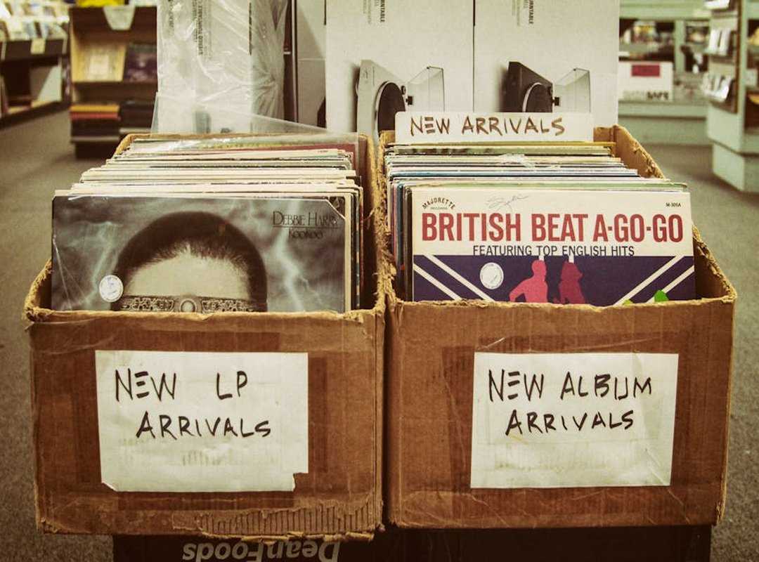 Clearing the Bar: A Legacy of Records and Resilience