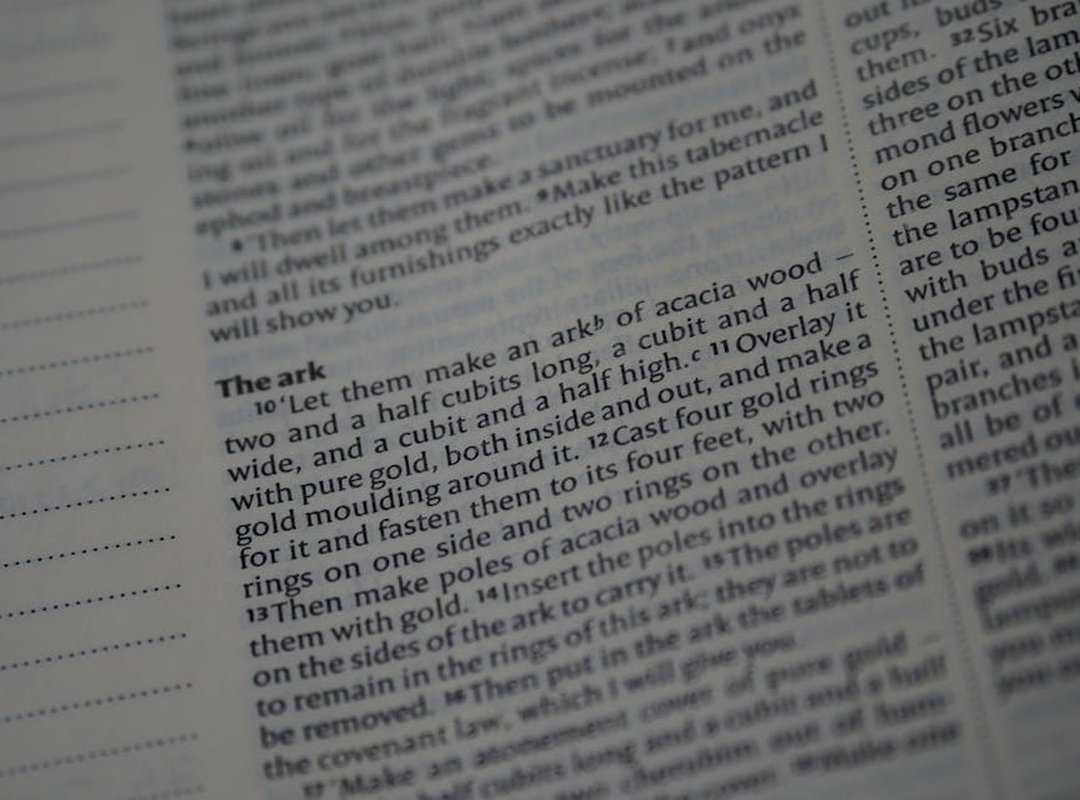 Rosa's Critical Role in the Narrative