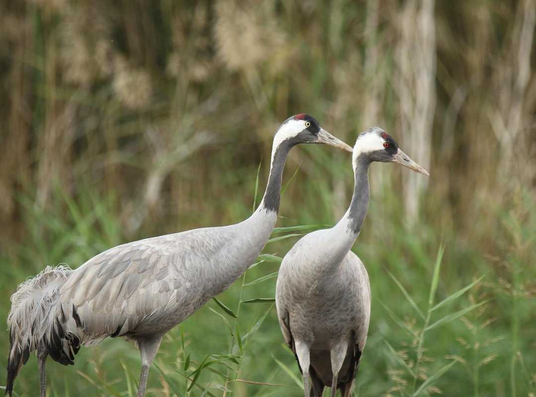 Shmgdiet Diet Hacks From Springhillmedgroup