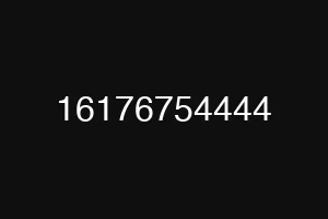 16176754444