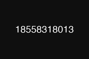 18558318013