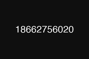 18662756020