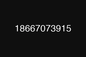 18667073915