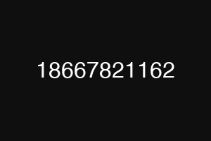 18667821162