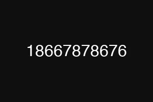 18667878676