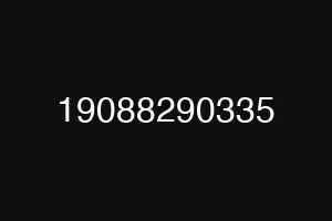 19088290335