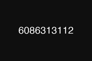 6086313112