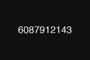 6087912143