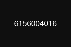 6156004016