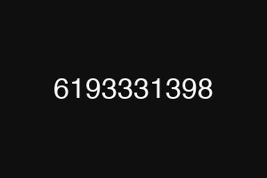 6193331398