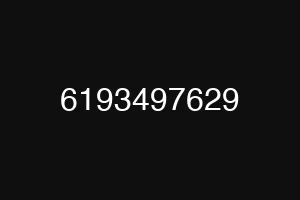 6193497629
