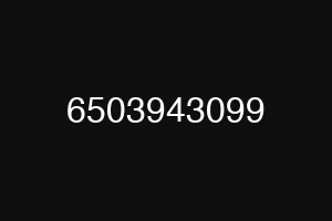 6503943099