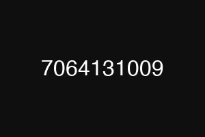 7064131009
