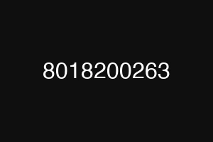 8018200263