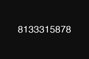 8133315878