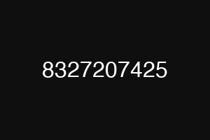 8327207425