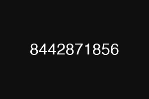 8442871856