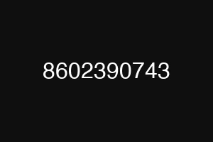 8602390743