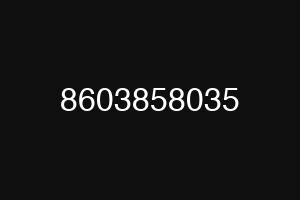 8603858035