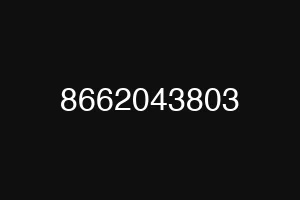 8662043803