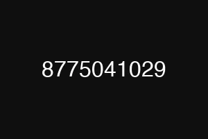 8775041029