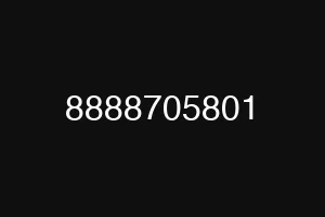 8888705801