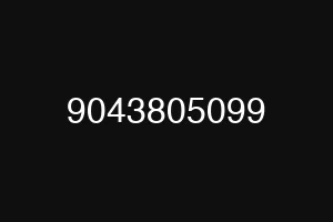 9043805099