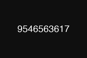 9546563617